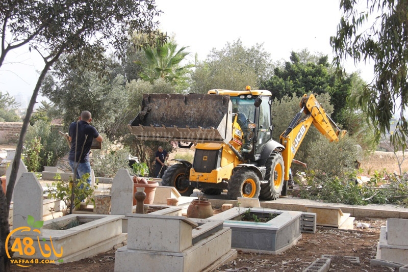 tasoooi3i1412 (26).JPG